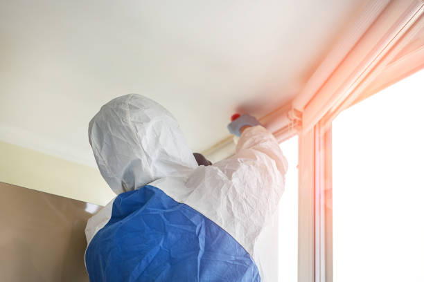 Mold Odor Removal Services in Orleans, VT